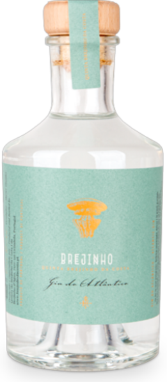 Imagem de Brejinho Gin do Atlântico