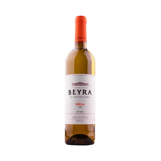 Imagem de BEYRA SIRIA 2020